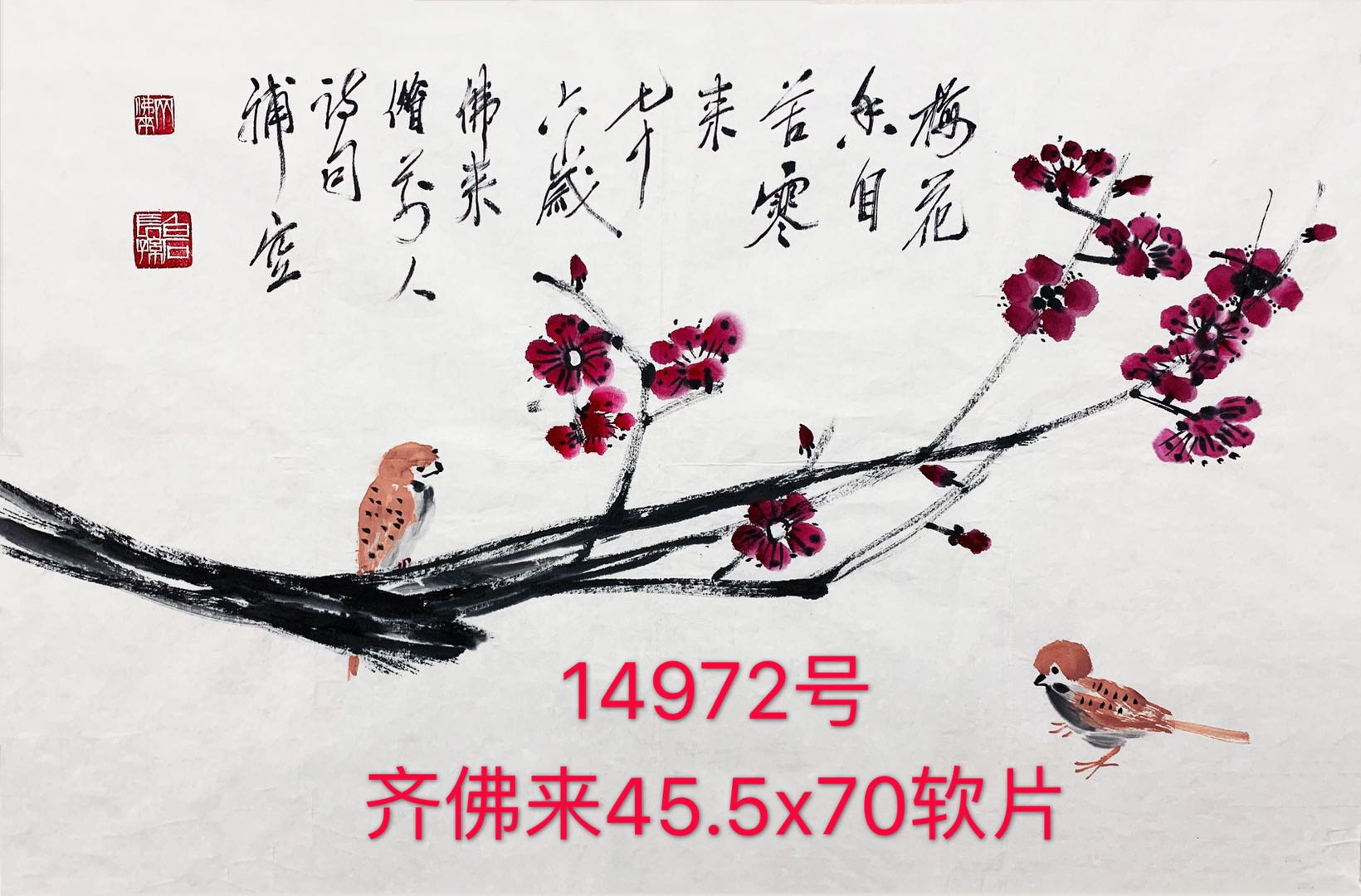 1658974696615492.jpg