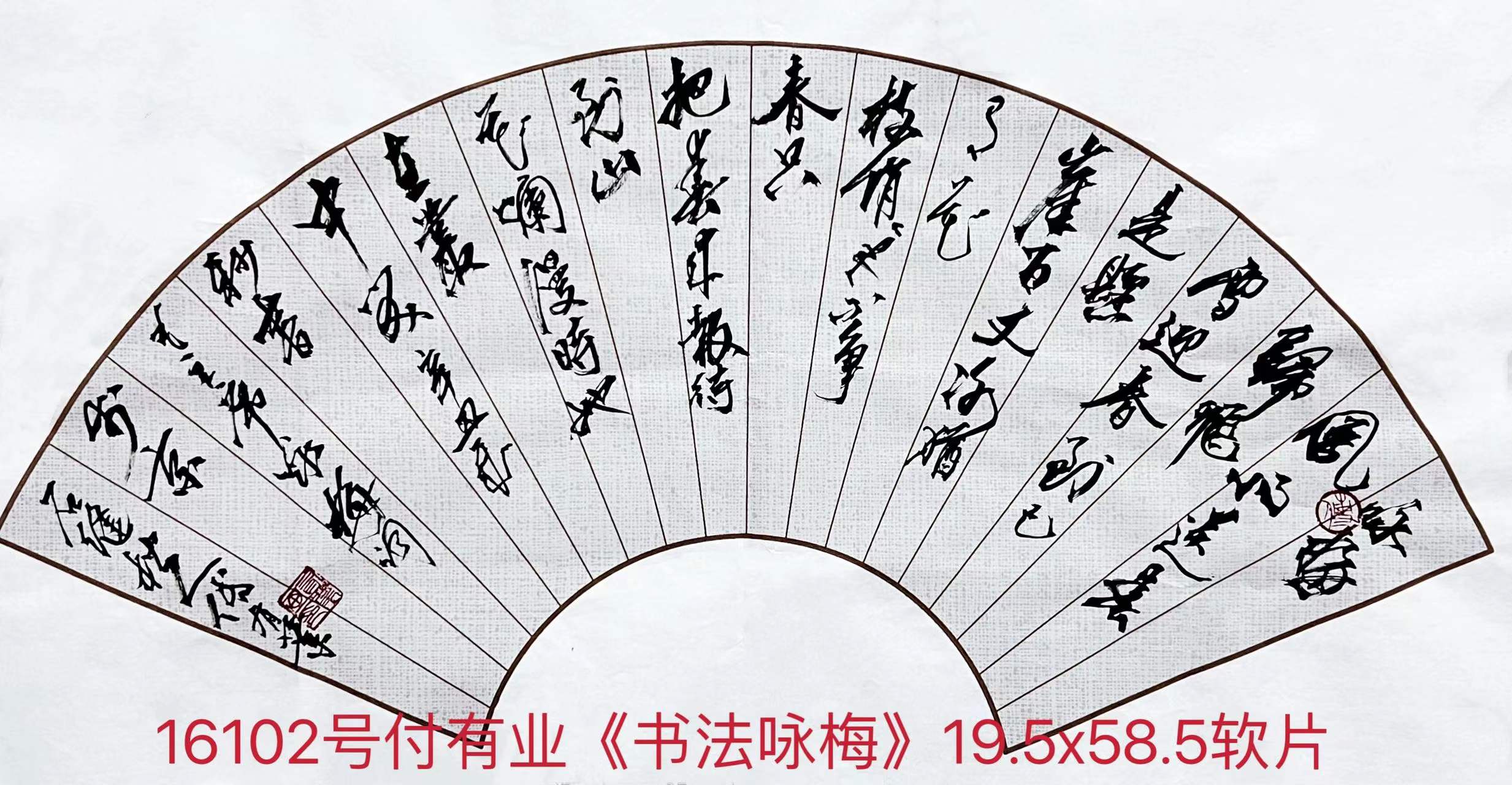 1660377496439767.jpg