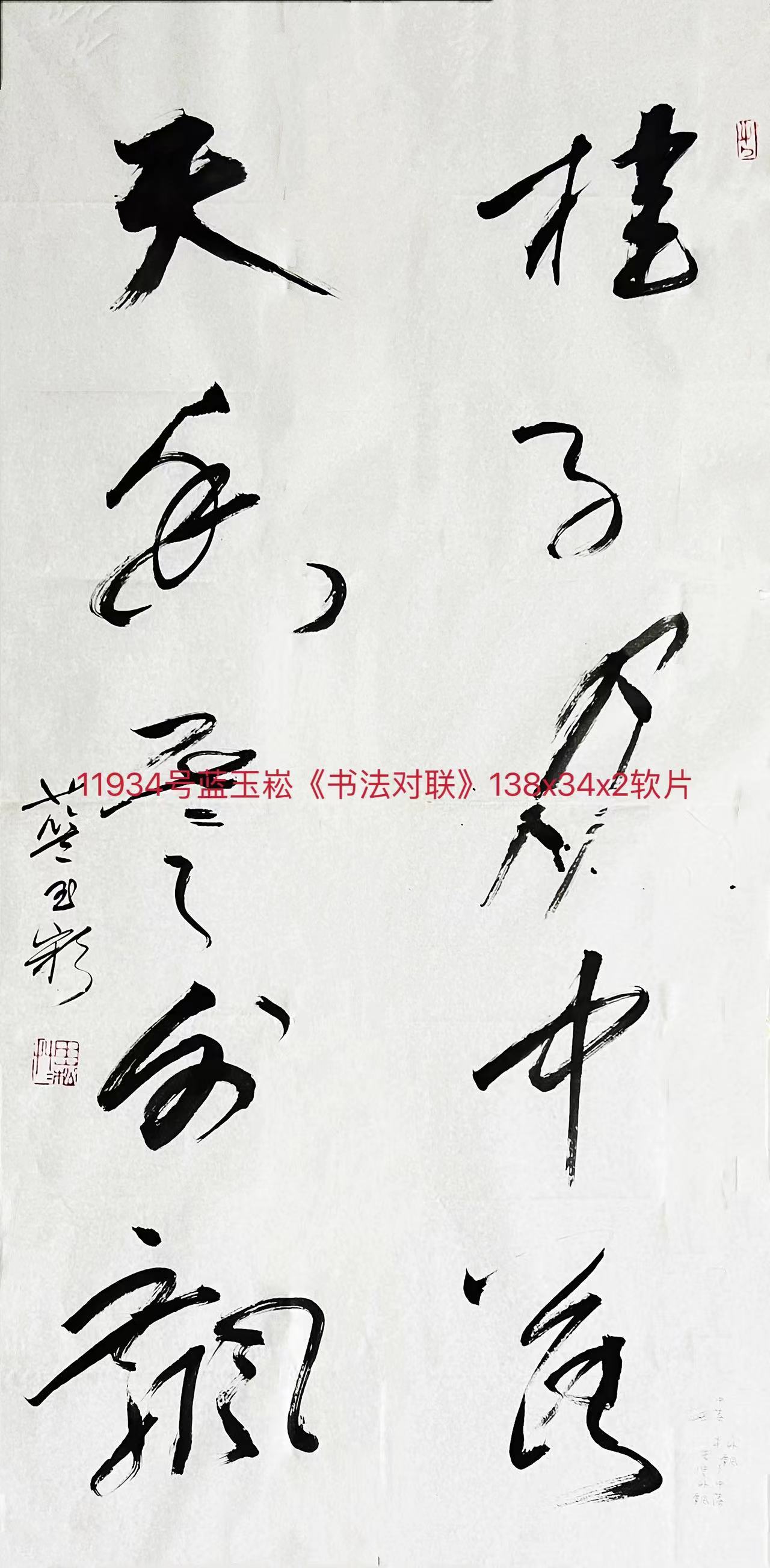 11934号蓝玉崧《书法对联》138x34x2软片（约2000元20170611）【】.jpg