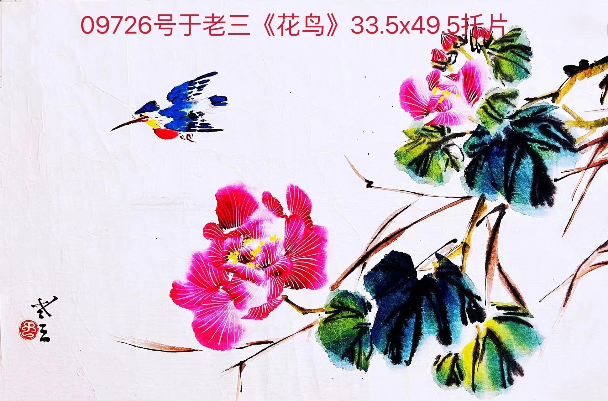 1663119782296248.jpg
