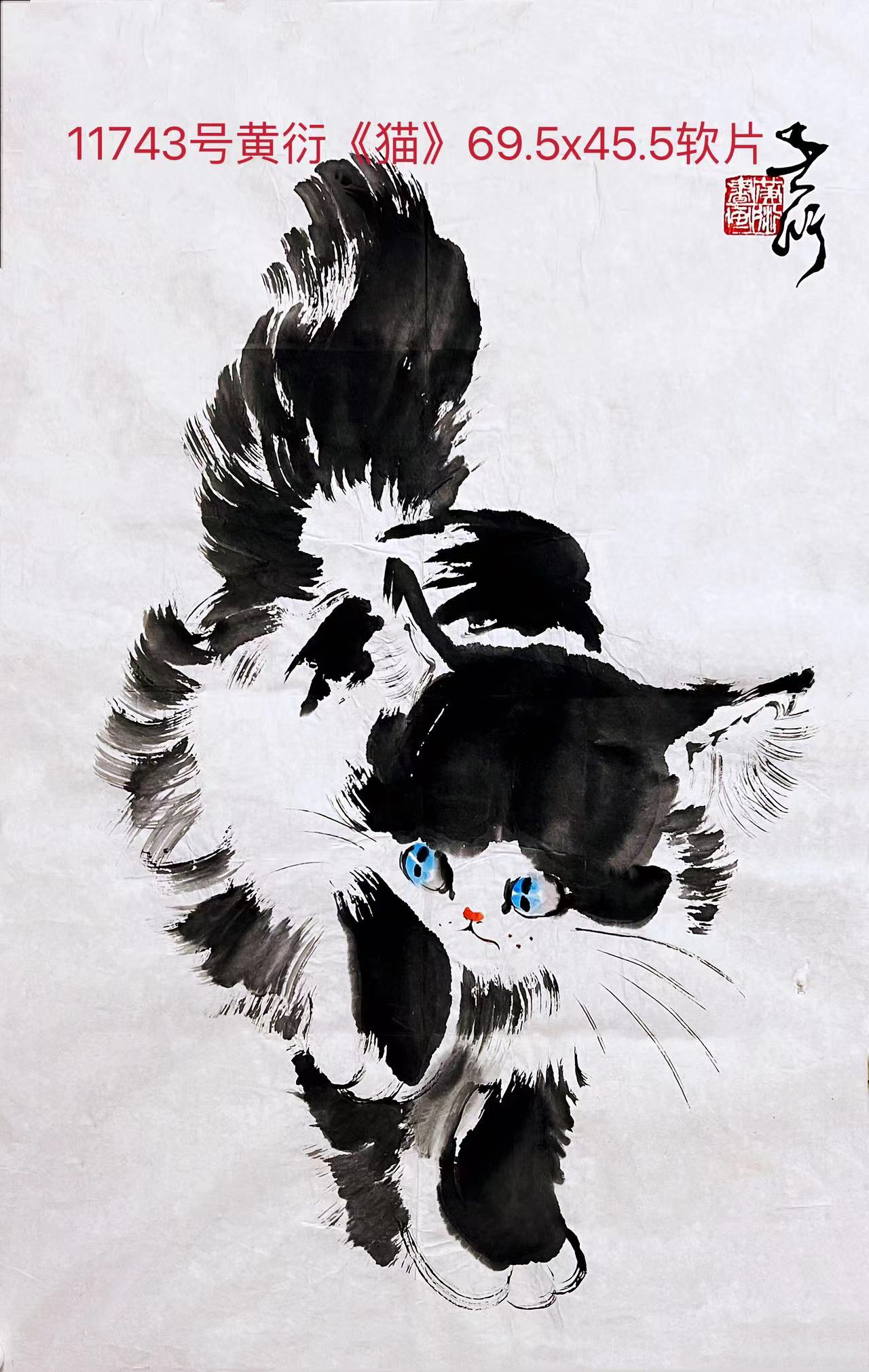 11743号黄衍《猫》69.5x45.5软片【】【20220518有上新网站】【】.jpg