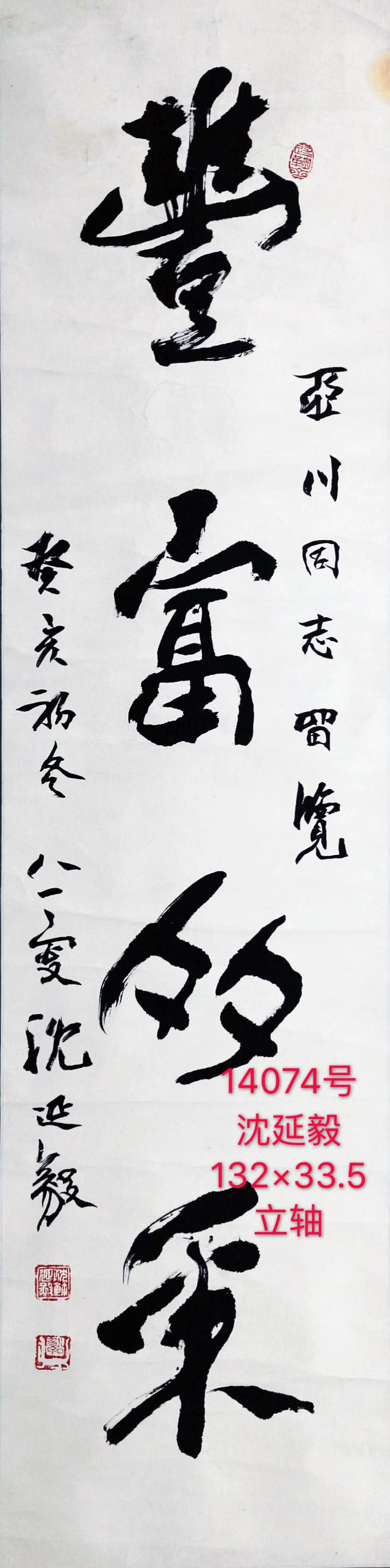 14074号沈延毅【书法丰富多采】132×33.5立轴【8000元20180918山西老李等人一起十张之一】【从105号拿回凌云之一20190213藏品】.jpg