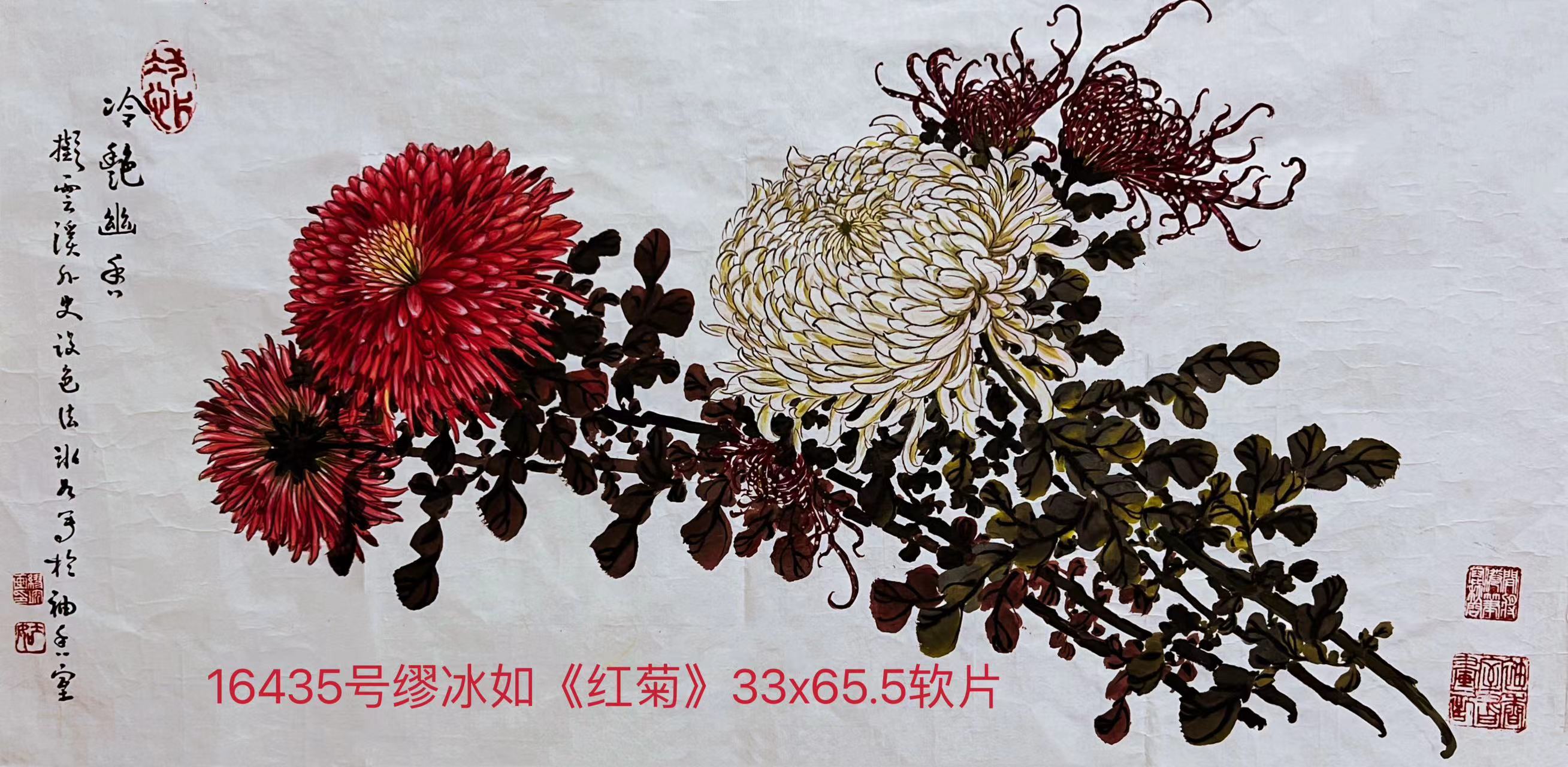 16435号缪冰如《红菊》33x65.5软片【4张8千元之一2000元胡志军20230314】.jpg