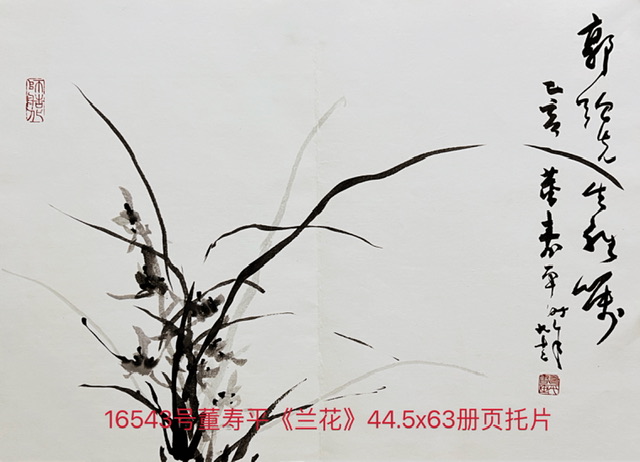 A495F2A7-4485-45F4-803B-F85F1B1CFFB1.jpeg
