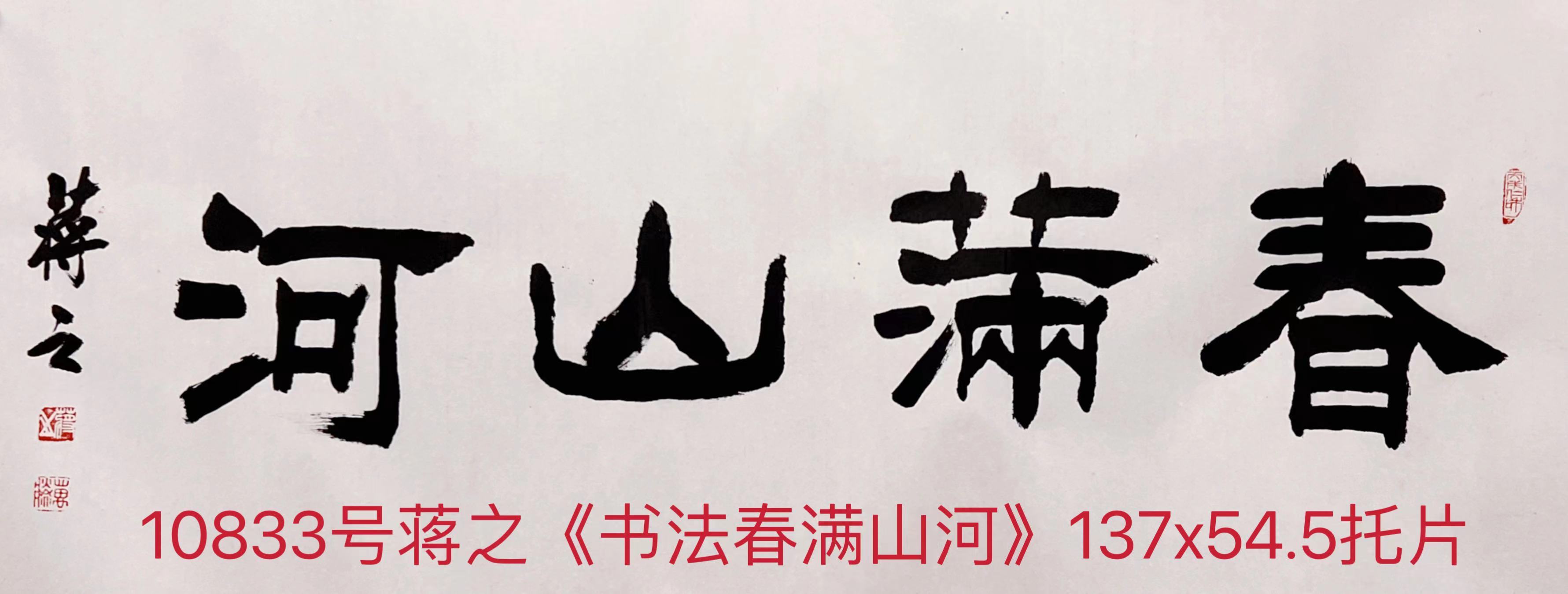 10833号蒋之《书法春满山河》137x54.5托片.jpg