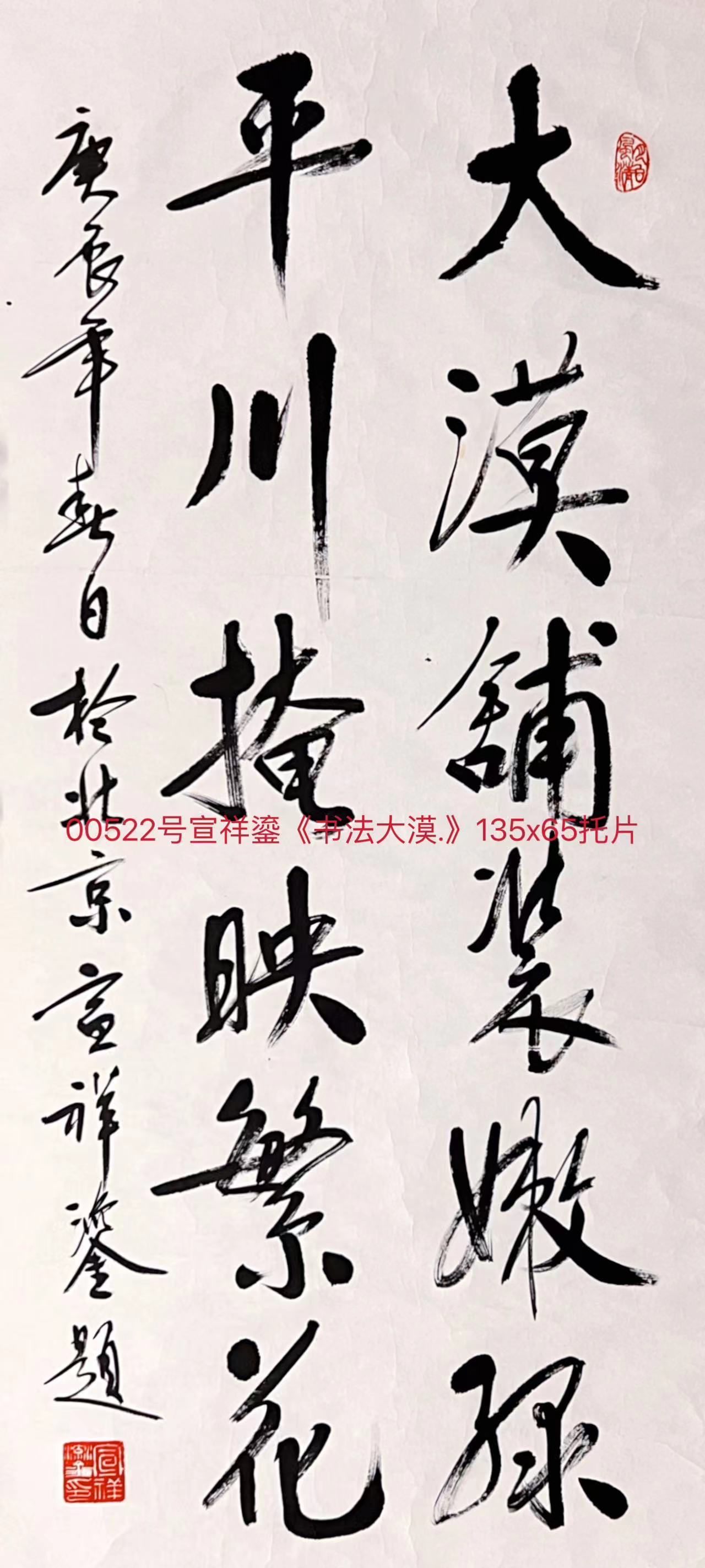 00522号宣祥鎏《书法大漠.》135x65托片.jpg