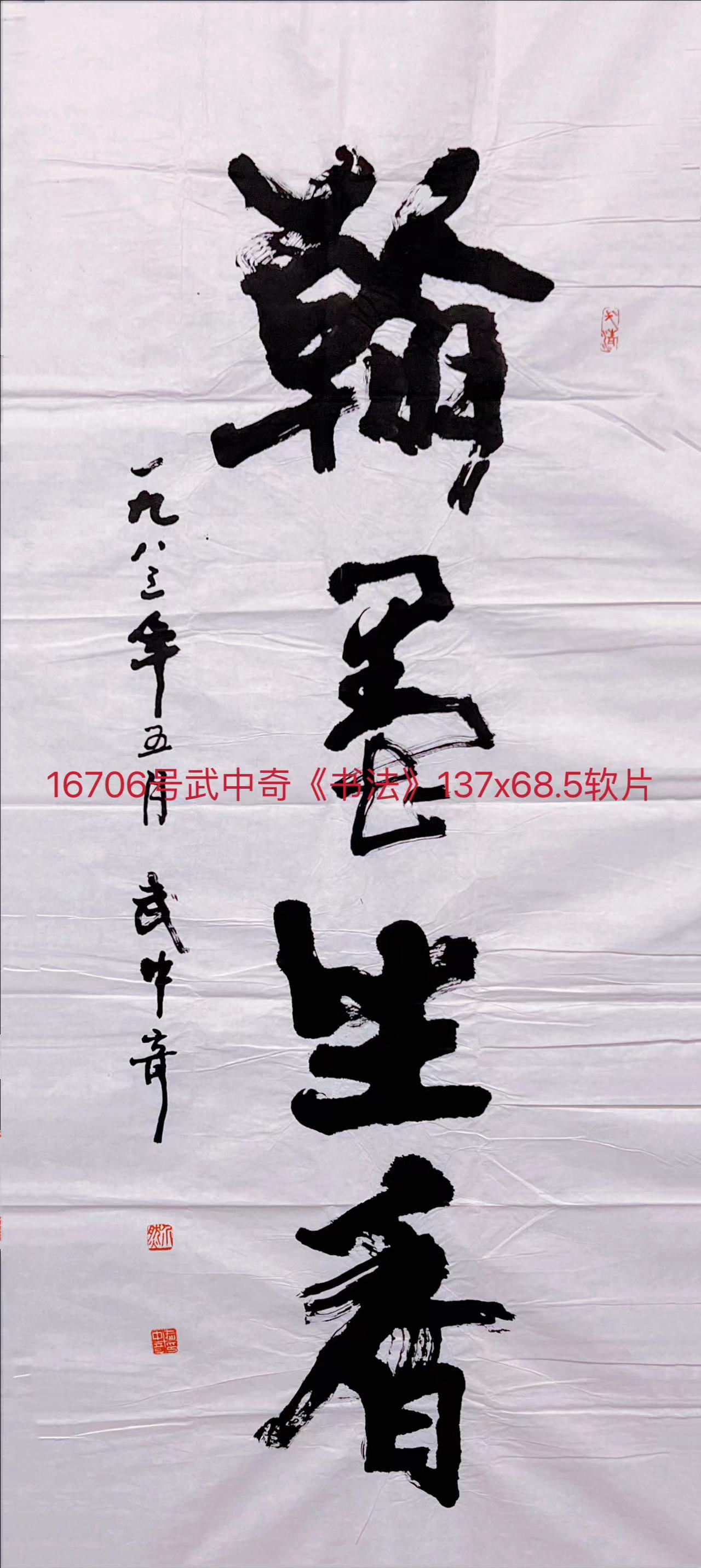 16706号武中奇《书法》137x68.5软片.jpg