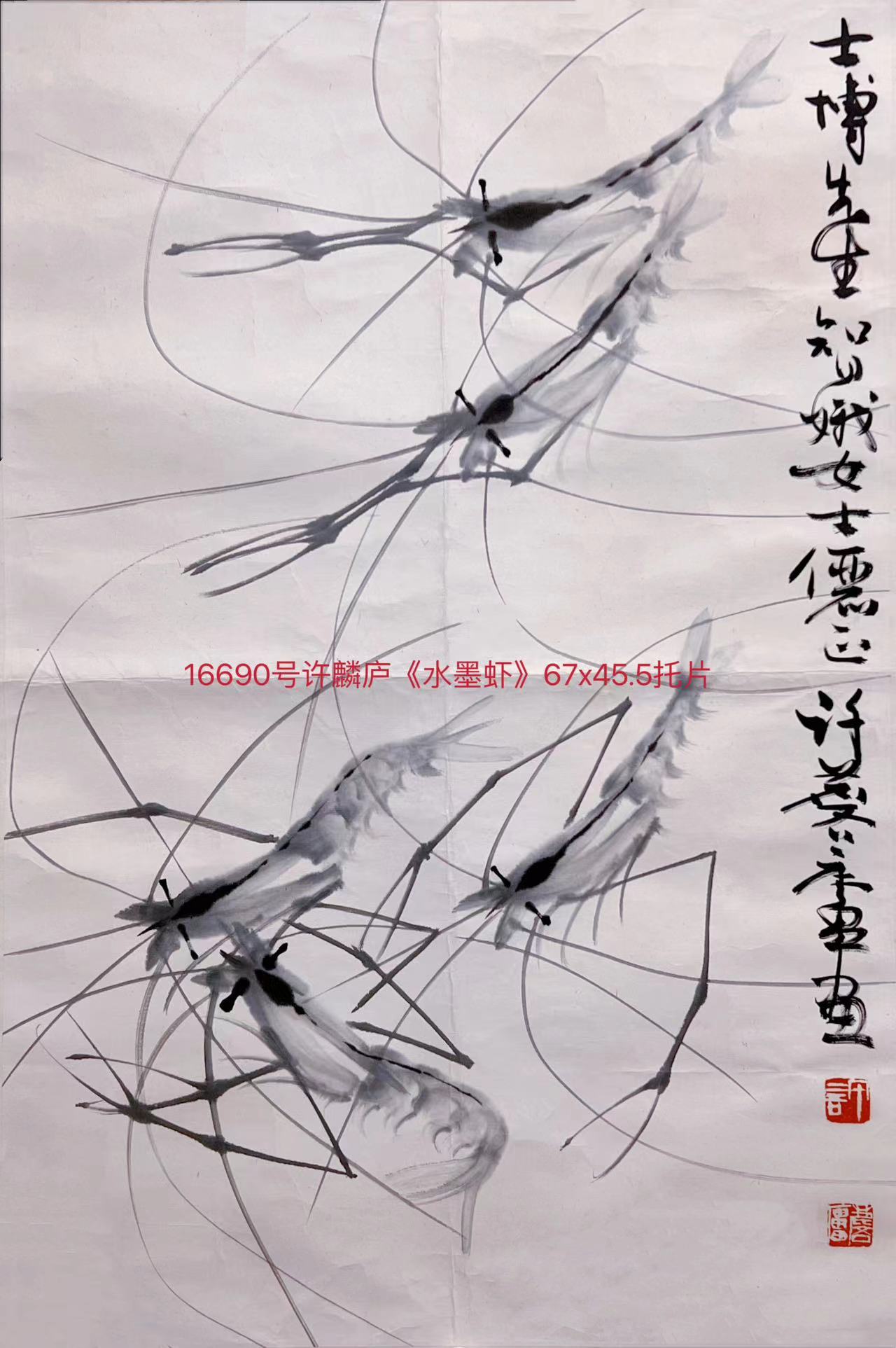 16690号许麟庐《水墨虾》67x45.5镜片.jpg