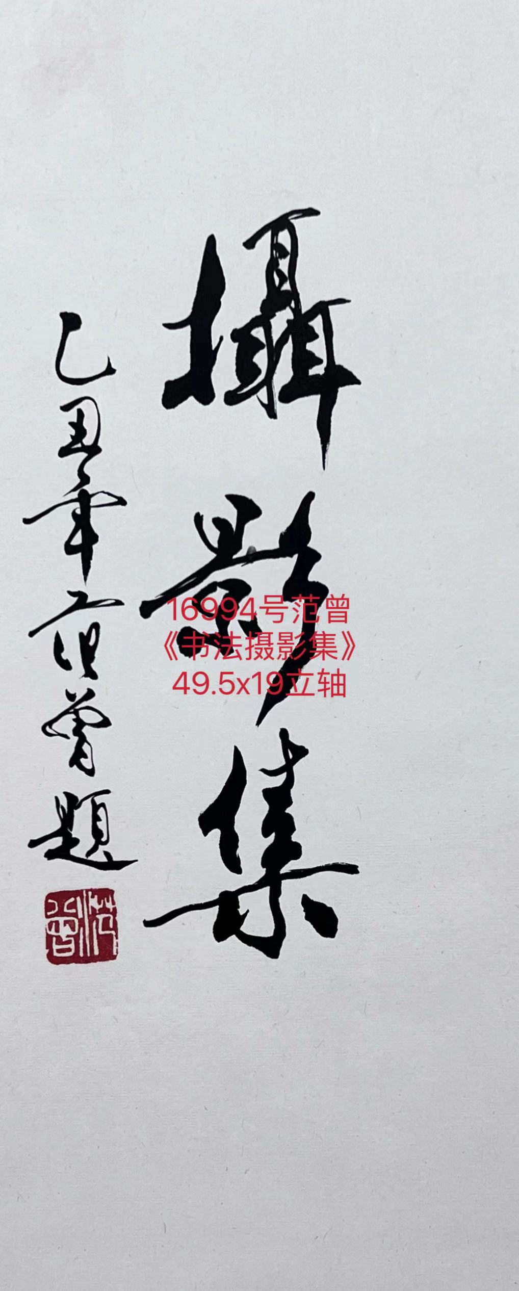 16994号范曾《书法摄影集》49.5x19立轴1.jpg