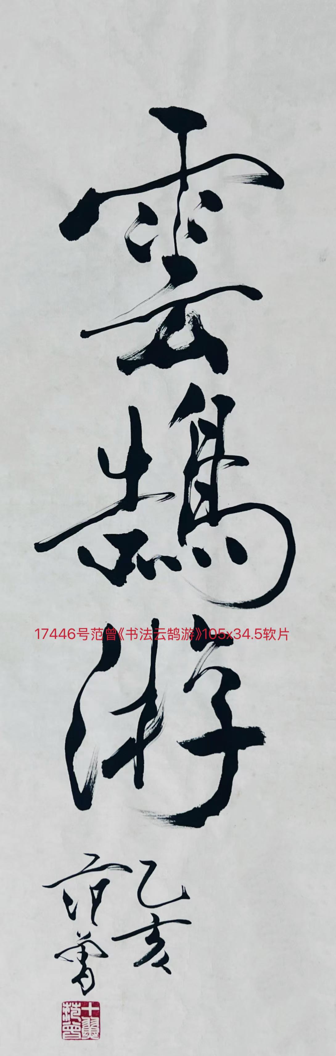 17446号范曾《书法云鹄游》105x34.5软片.jpg
