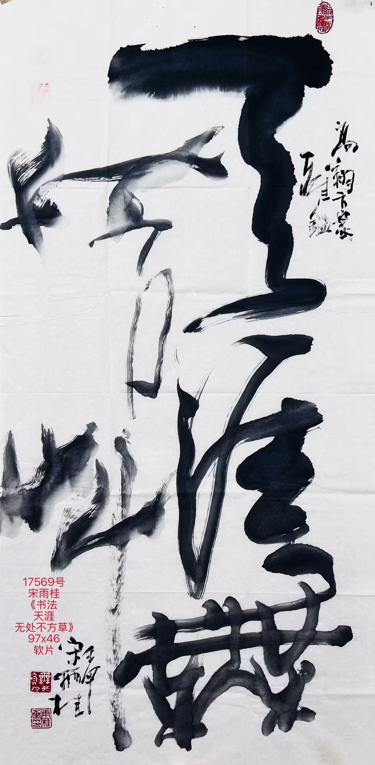 17569号宋雨桂《书法天涯无处不方草》97x46软片.jpg